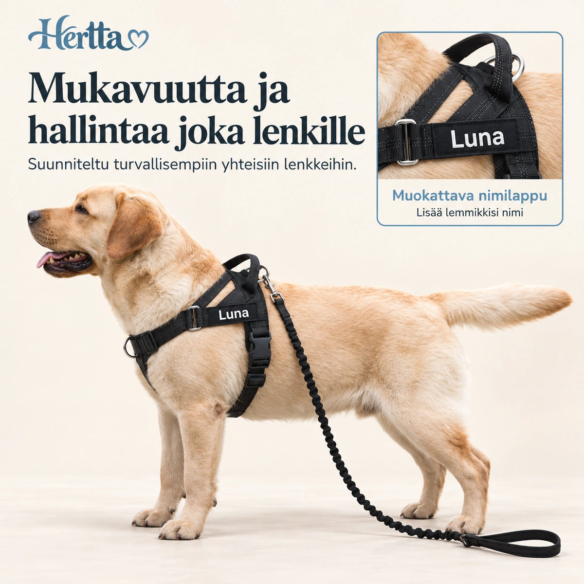 Heijastavat vedonestovaljaat koiralle