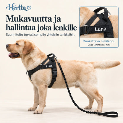 Heijastavat vedonestovaljaat koiralle